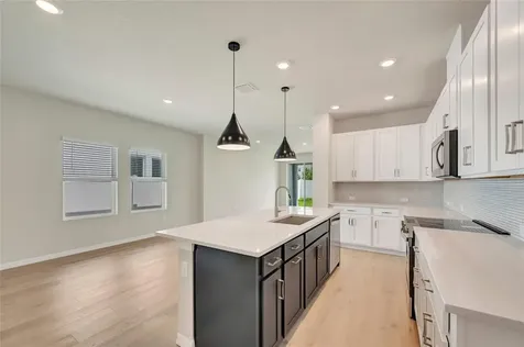 31232 Pendleton Landing Circle Wesley Chapel FL 33545