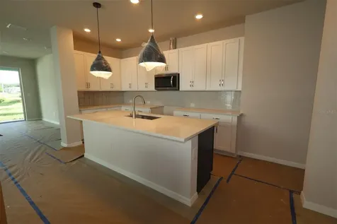 31232 Pendleton Landing Circle Wesley Chapel FL 33545