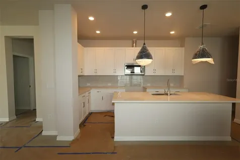 31232 Pendleton Landing Circle Wesley Chapel FL 33545