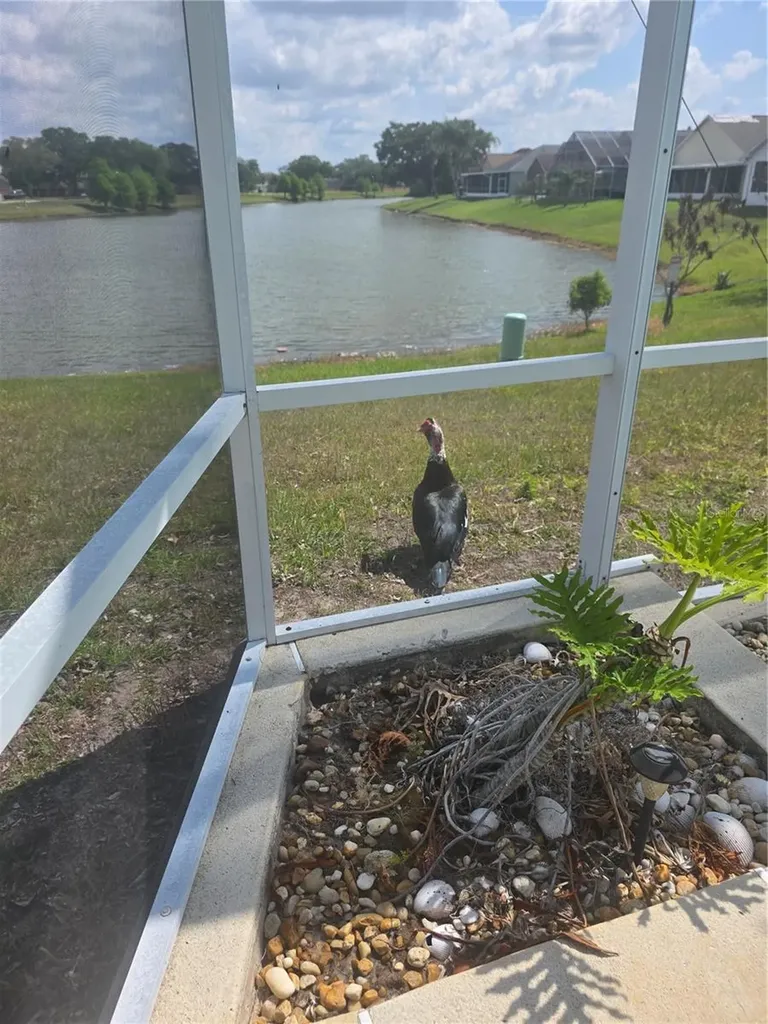 2309 Anhinga Drive Kissimmee FL 34743