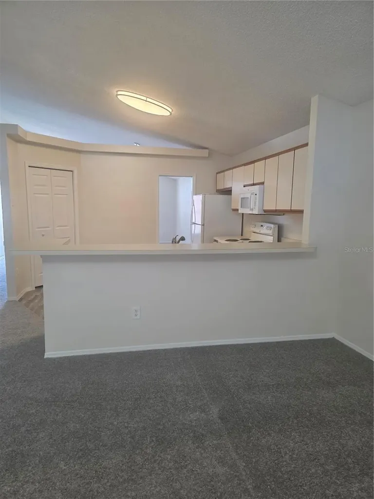 2309 Anhinga Drive Kissimmee FL 34743
