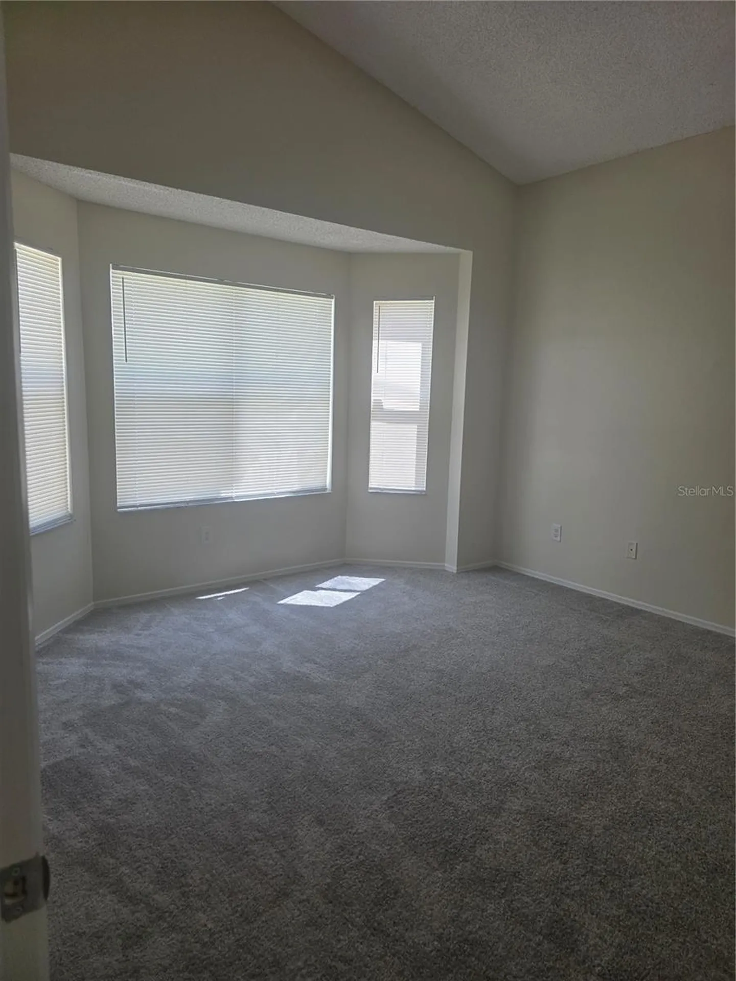2309 Anhinga Drive Kissimmee FL 34743