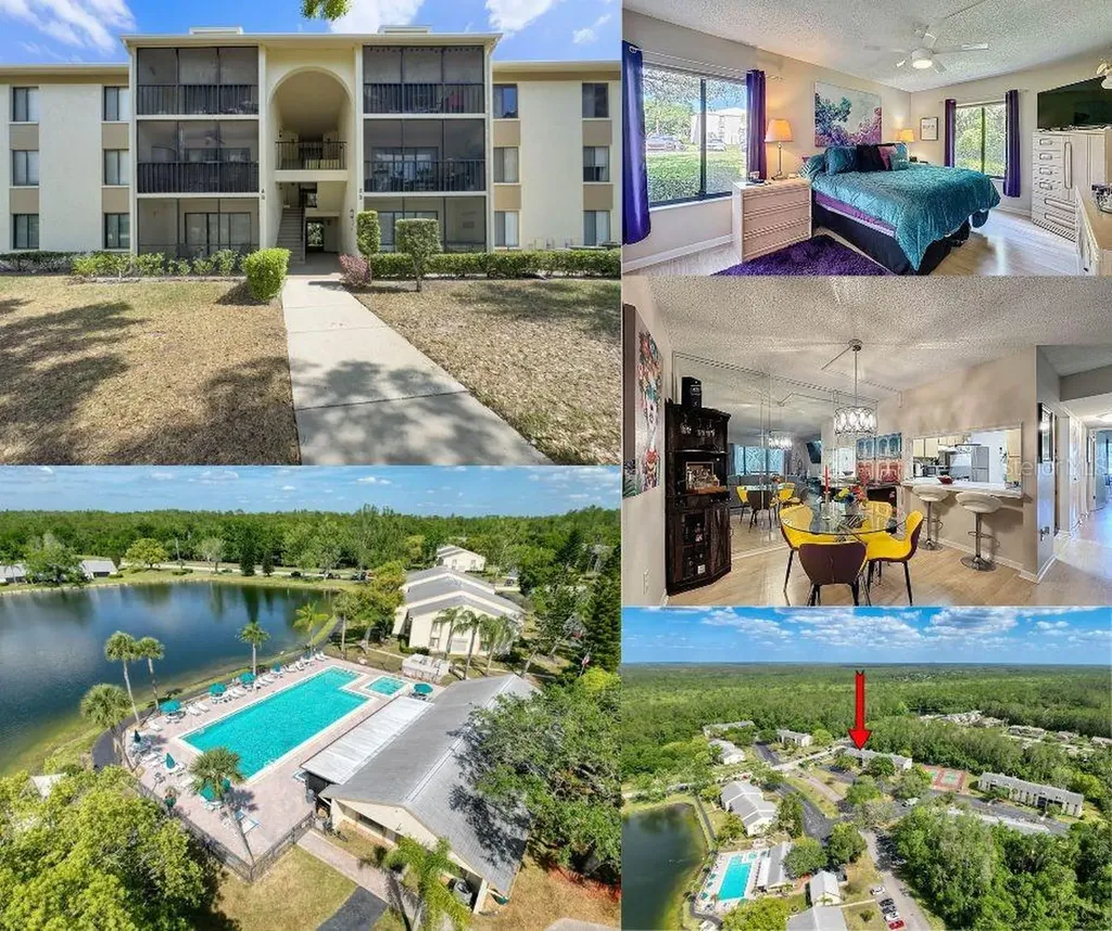 3188 Lake Pine Way S Tarpon Springs FL 34688