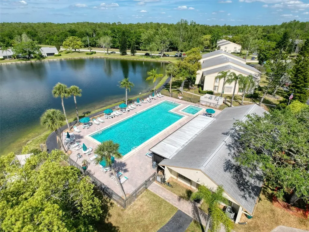 3188 Lake Pine Way S Tarpon Springs FL 34688