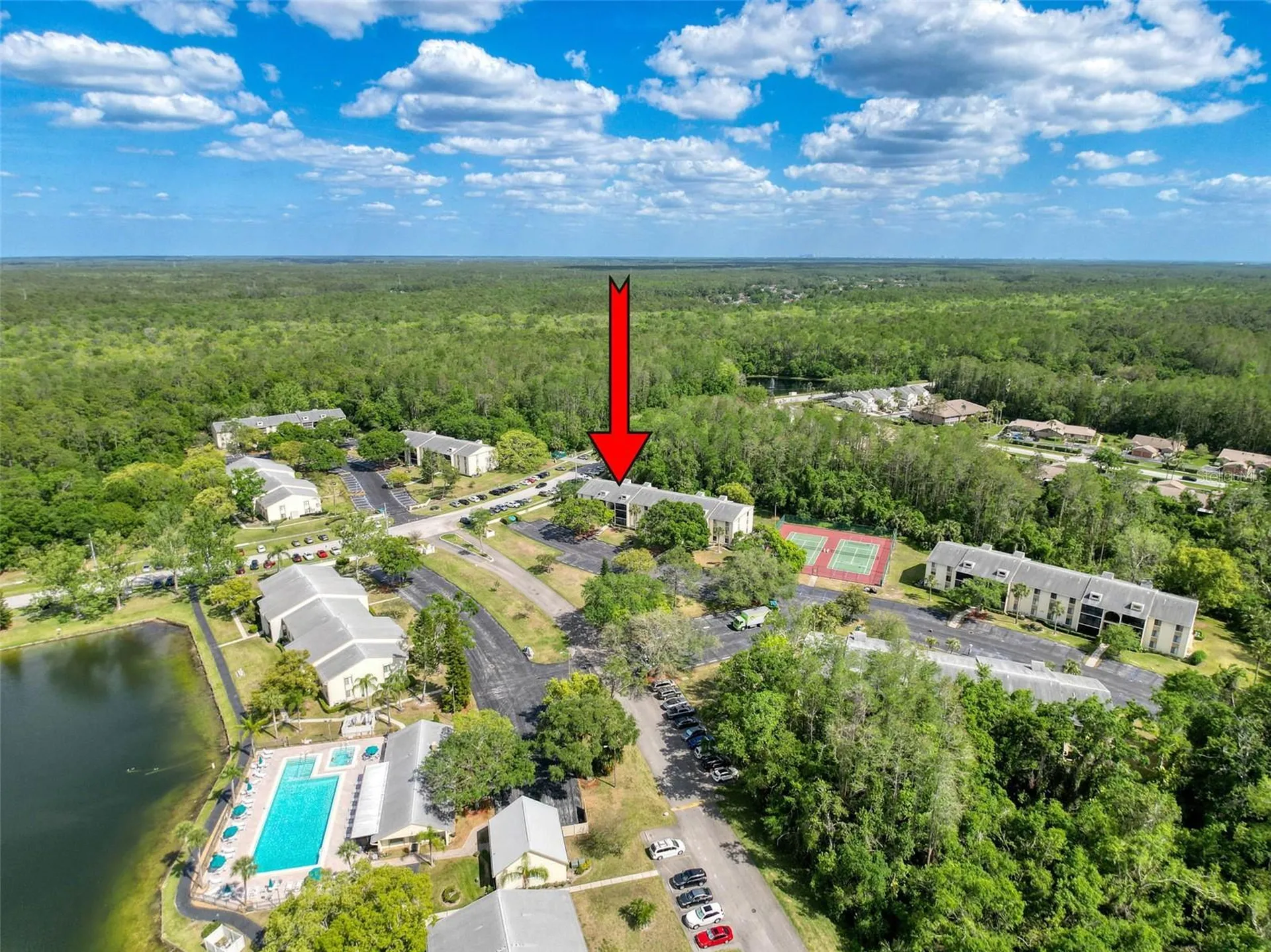 3188 Lake Pine Way S Tarpon Springs FL 34688