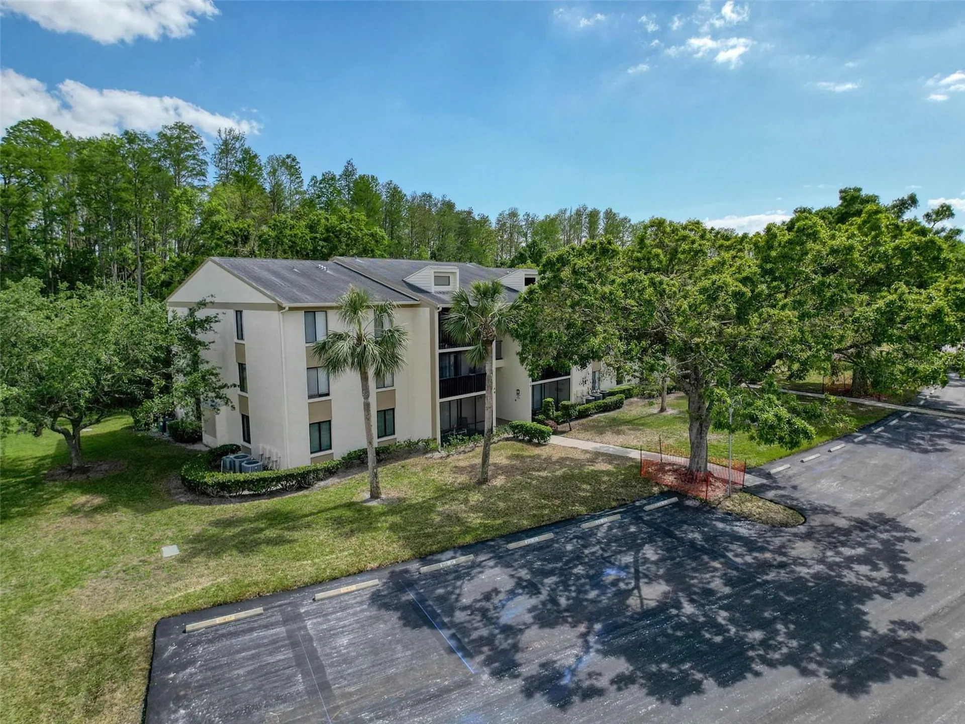 3188 Lake Pine Way S Tarpon Springs FL 34688