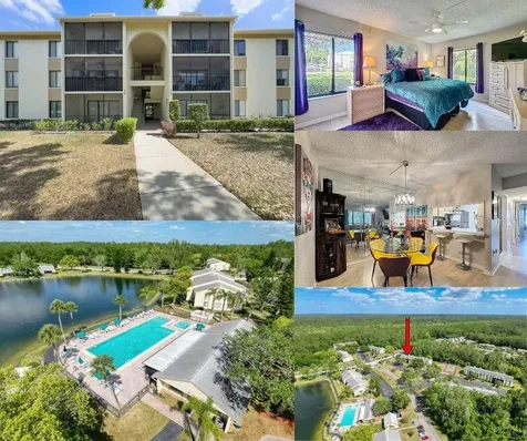 3188 Lake Pine Way S Tarpon Springs FL 34688