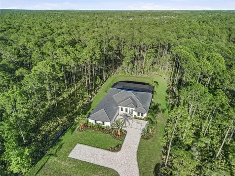 461 N Tymber Creek Road Ormond Beach FL 32174