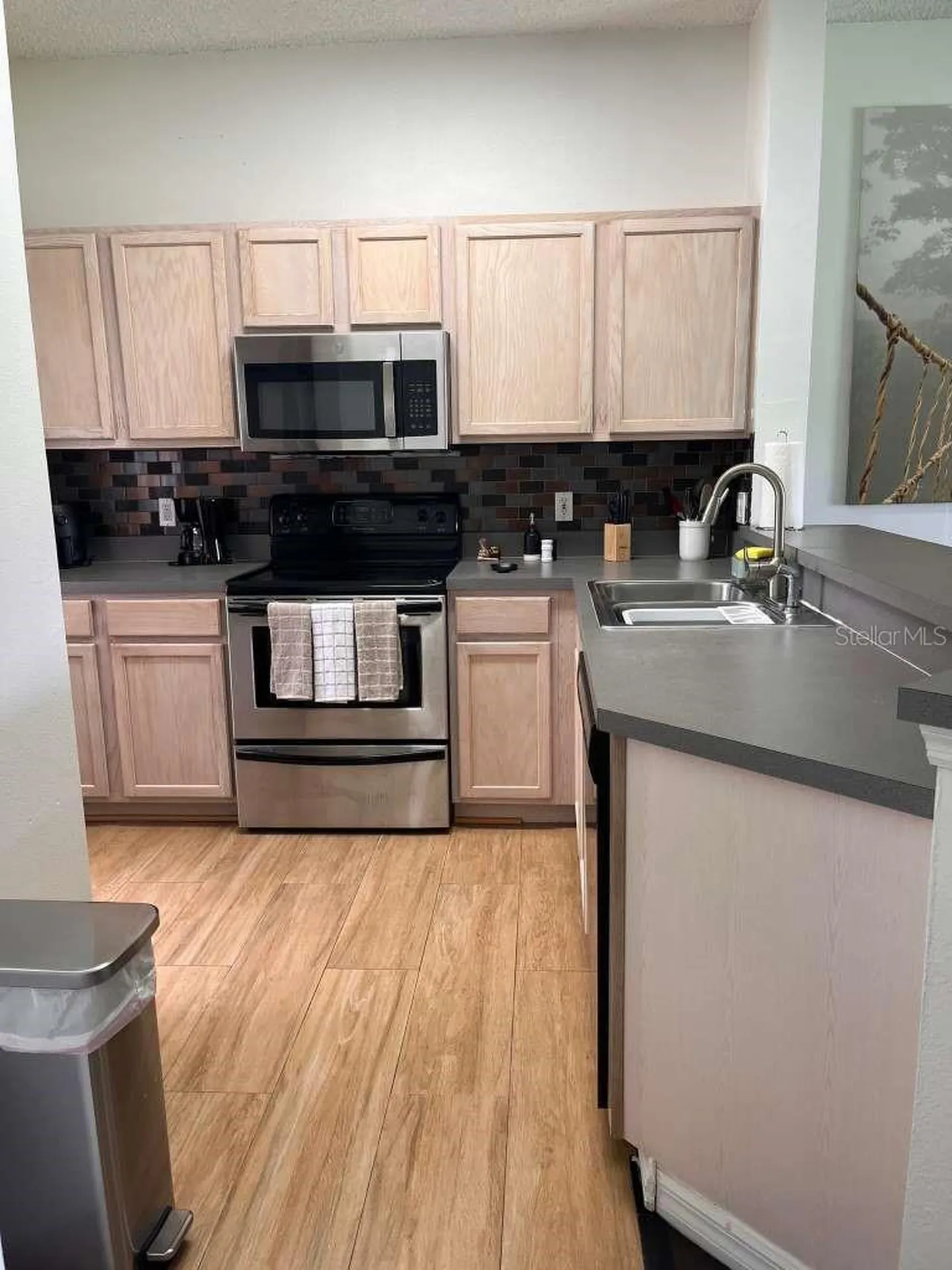 932 Park Terrace Circle Kissimmee FL 34746