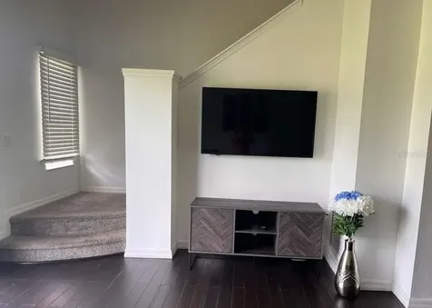 932 Park Terrace Circle Kissimmee FL 34746