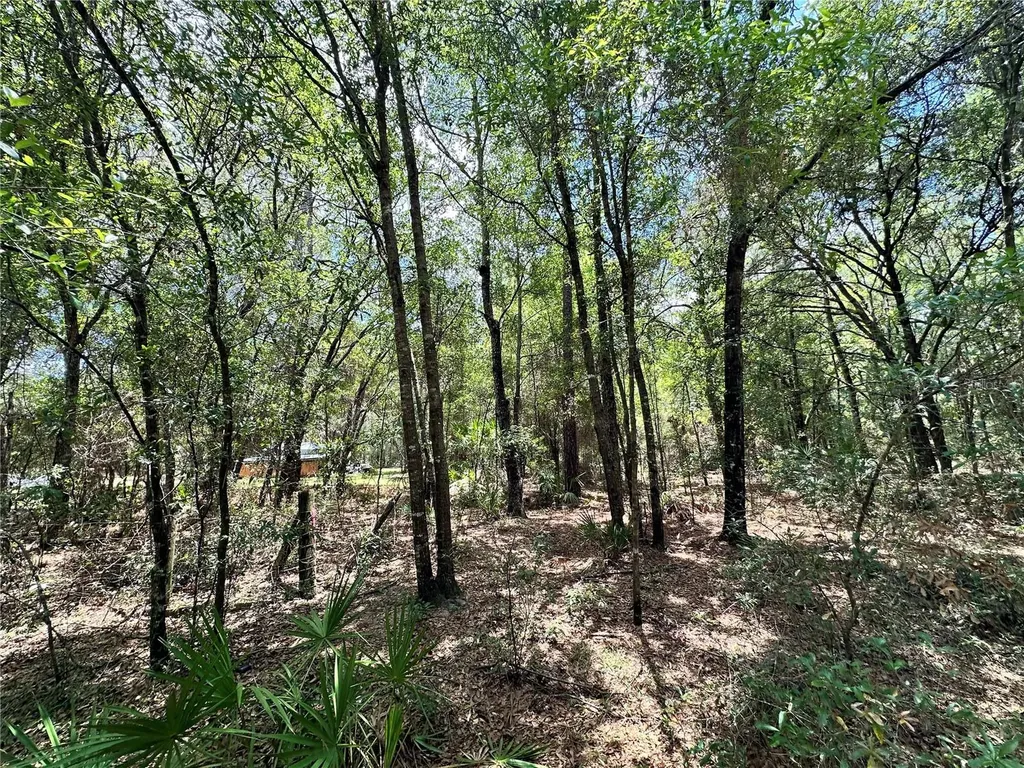 13070 NE 78th Place Bronson FL 32621