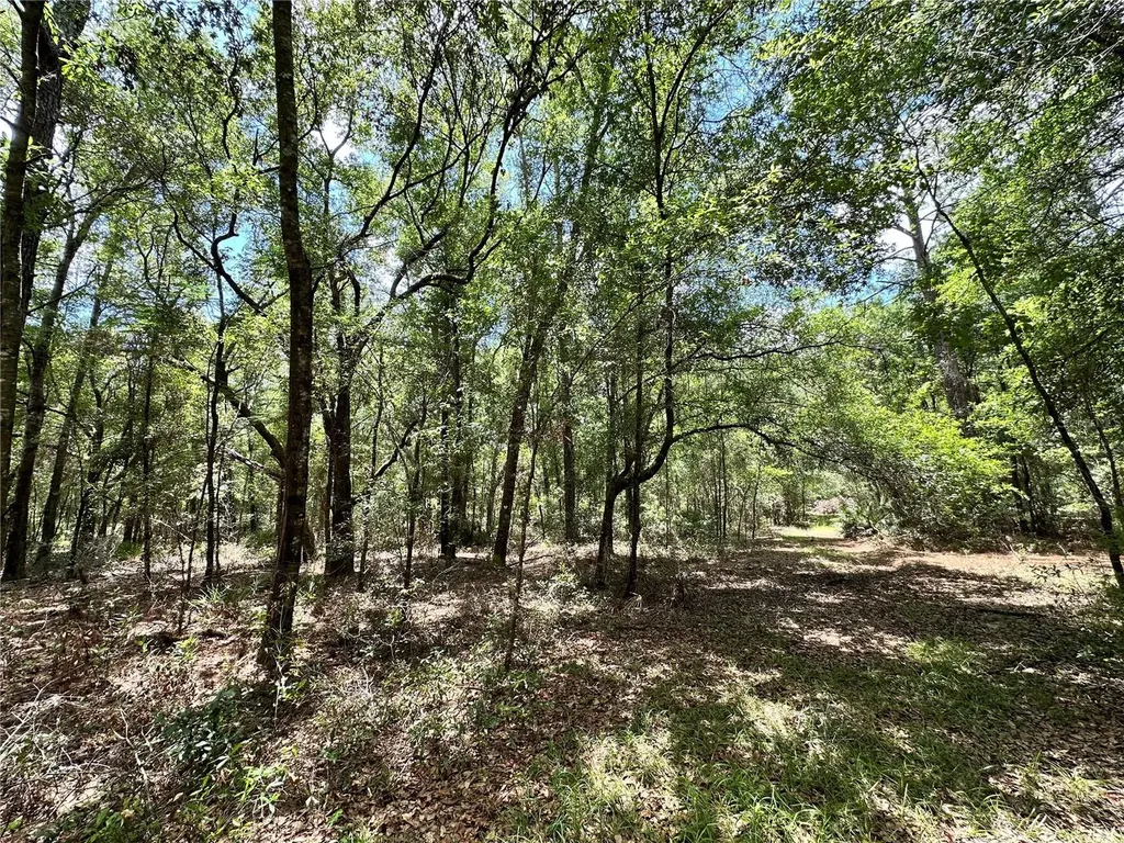 13070 NE 78th Place Bronson FL 32621