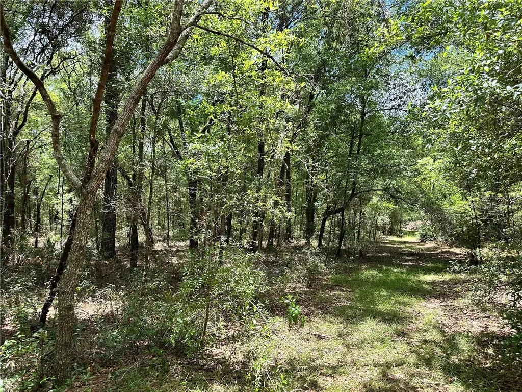13070 NE 78th Place Bronson FL 32621