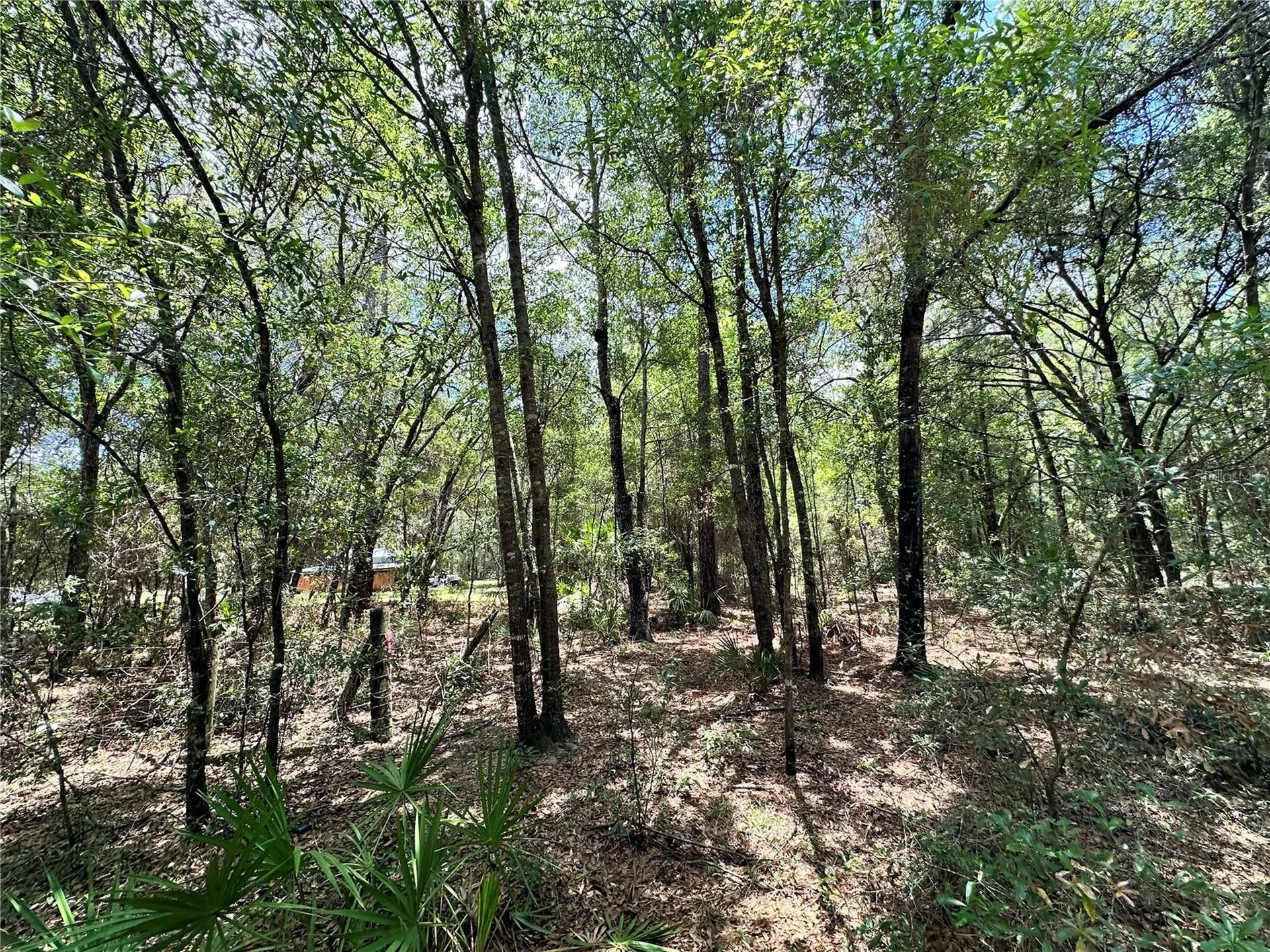 13070 NE 78th Place Bronson FL 32621