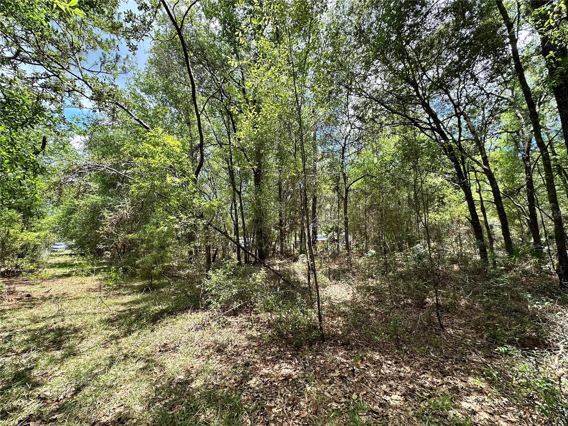 13070 NE 78th Place Bronson FL 32621