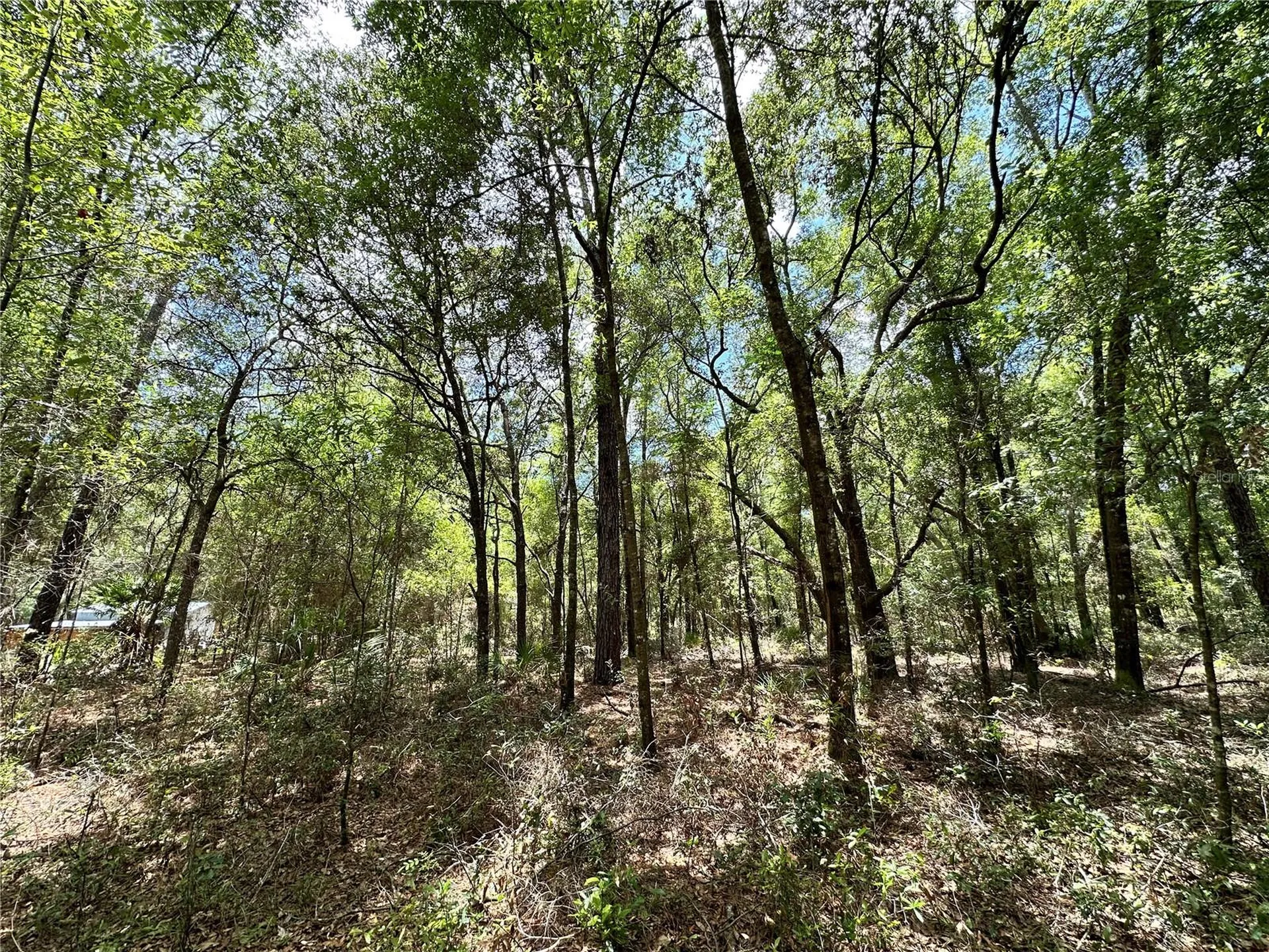 13070 NE 78th Place Bronson FL 32621
