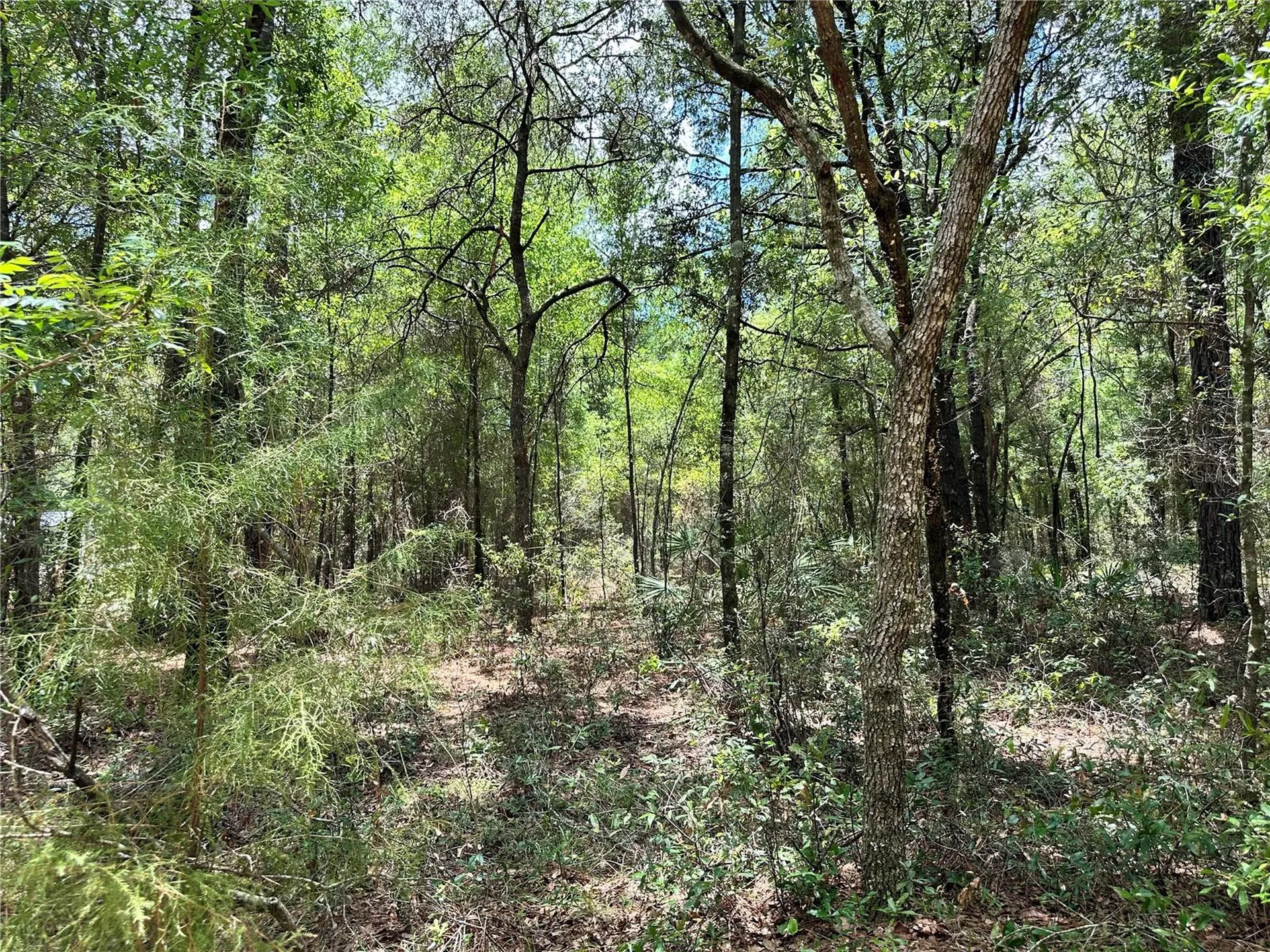 13070 NE 78th Place Bronson FL 32621