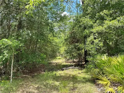 13070 NE 78th Place Bronson FL 32621