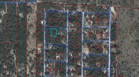 13070 NE 78th Place Bronson FL 32621