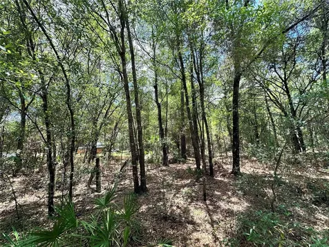 13070 NE 78th Place Bronson FL 32621