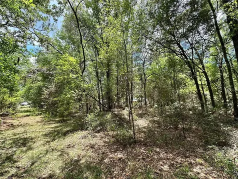 13070 NE 78th Place Bronson FL 32621
