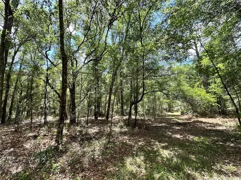 13070 NE 78th Place Bronson FL 32621