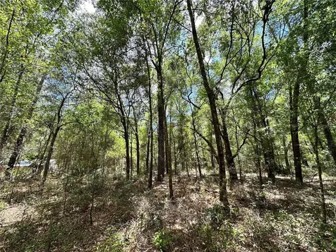 13070 NE 78th Place Bronson FL 32621