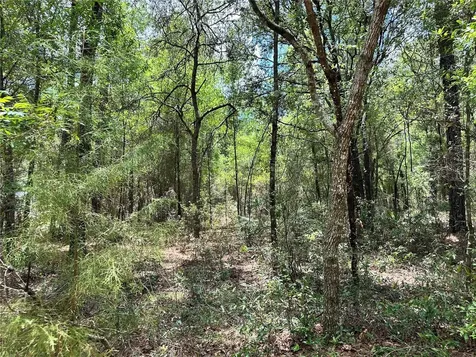 13070 NE 78th Place Bronson FL 32621
