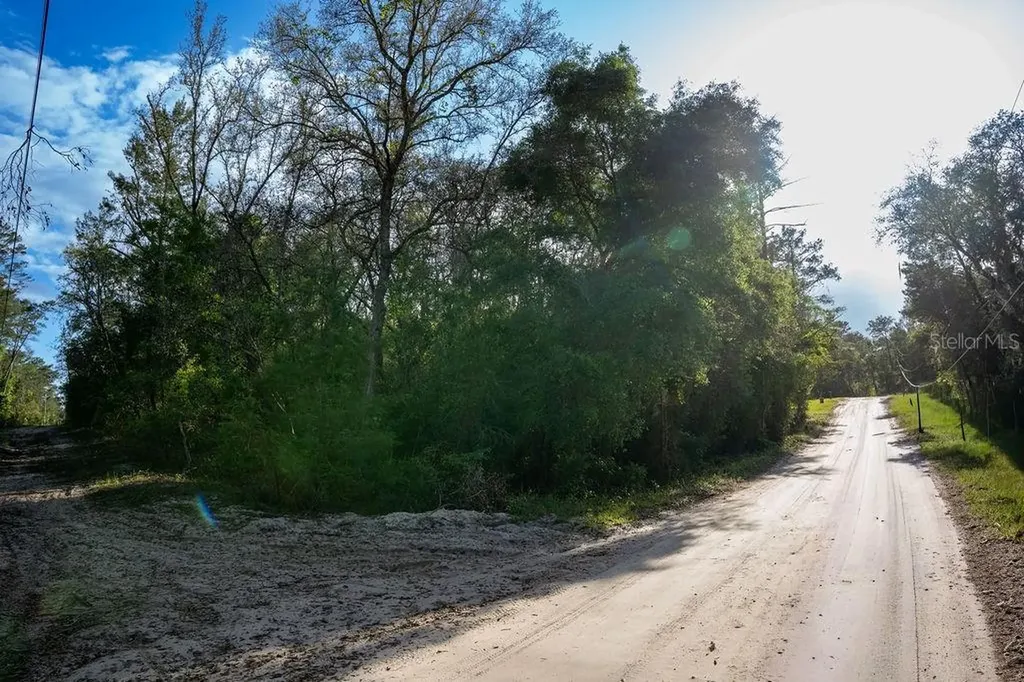 Lake Maregaret Boulevard Pomona Park FL 32181