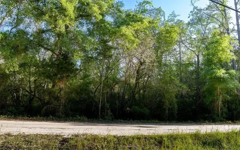 Lake Maregaret Boulevard Pomona Park FL 32181