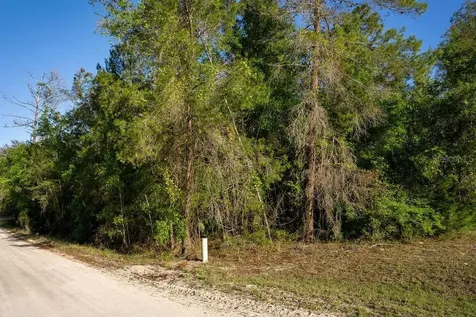 Lake Maregaret Boulevard Pomona Park FL 32181