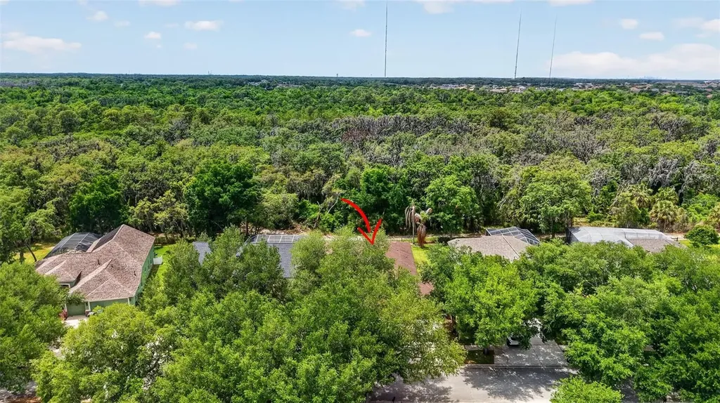 14818 Heronglen Drive Lithia FL 33547