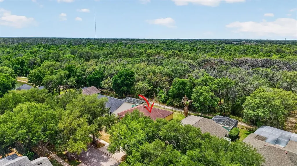 14818 Heronglen Drive Lithia FL 33547