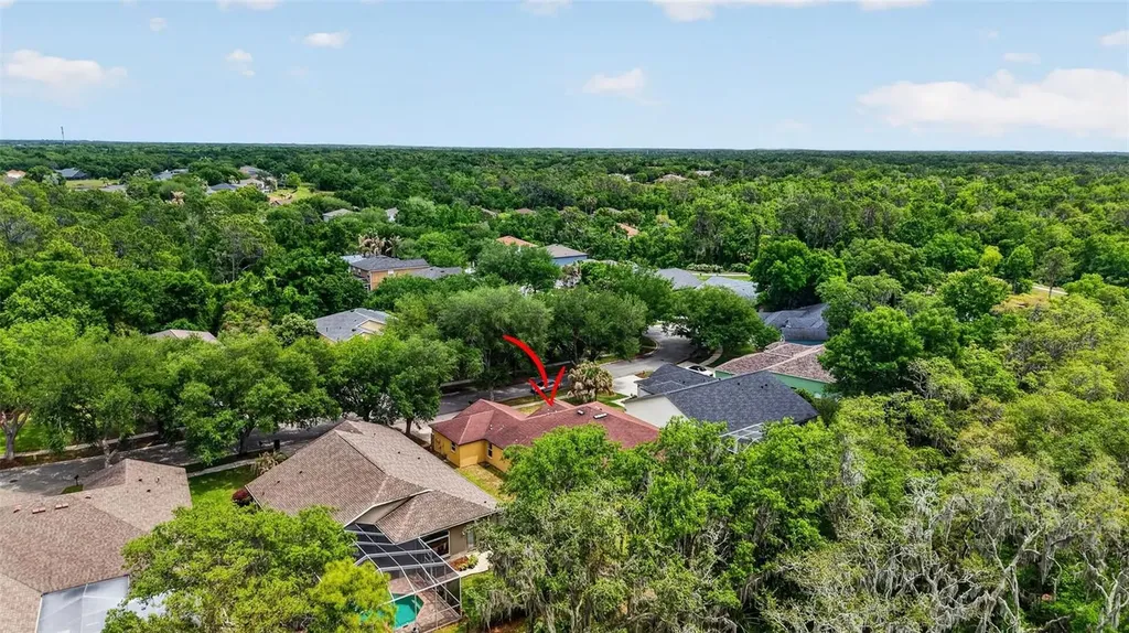 14818 Heronglen Drive Lithia FL 33547