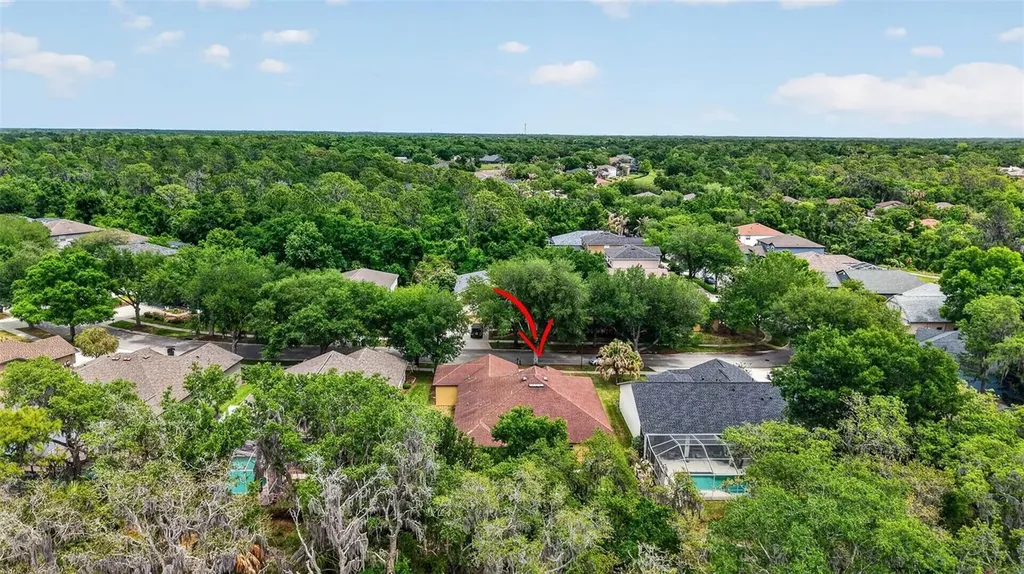 14818 Heronglen Drive Lithia FL 33547