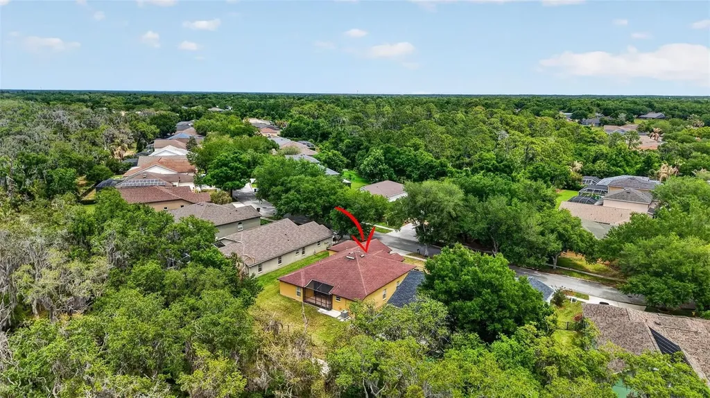 14818 Heronglen Drive Lithia FL 33547