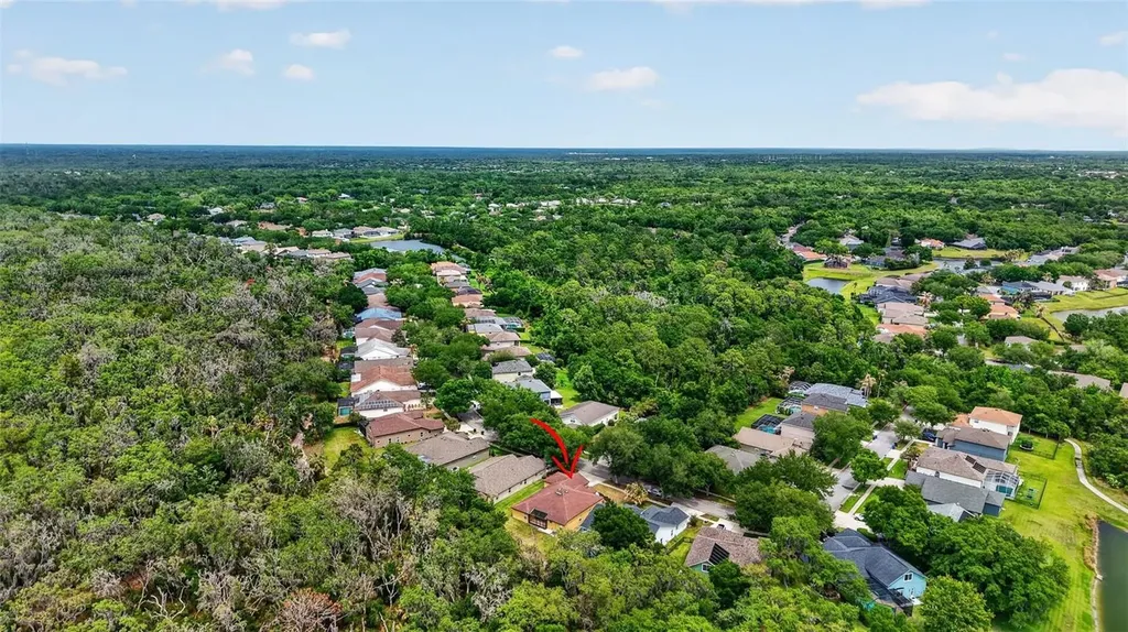 14818 Heronglen Drive Lithia FL 33547