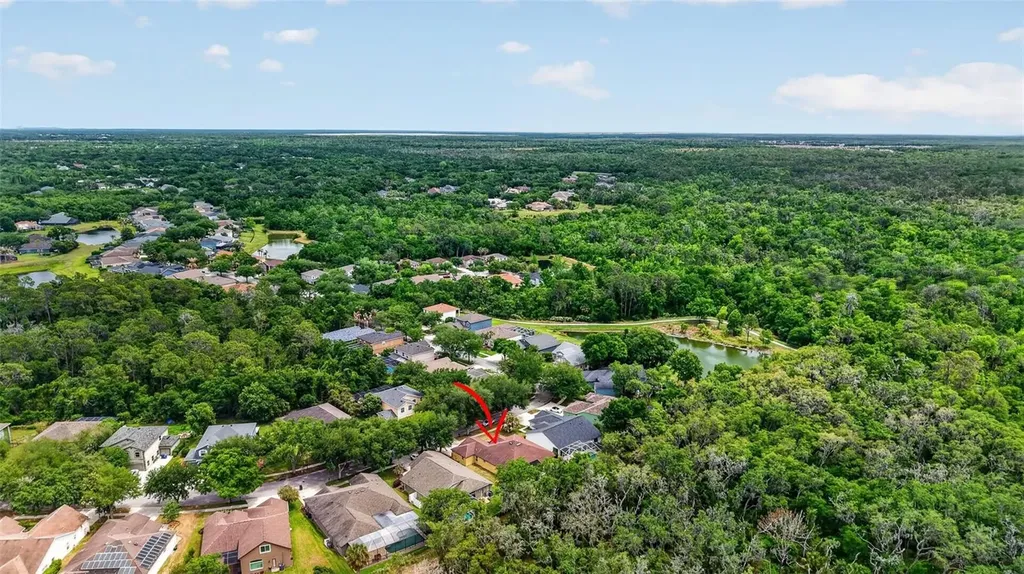 14818 Heronglen Drive Lithia FL 33547