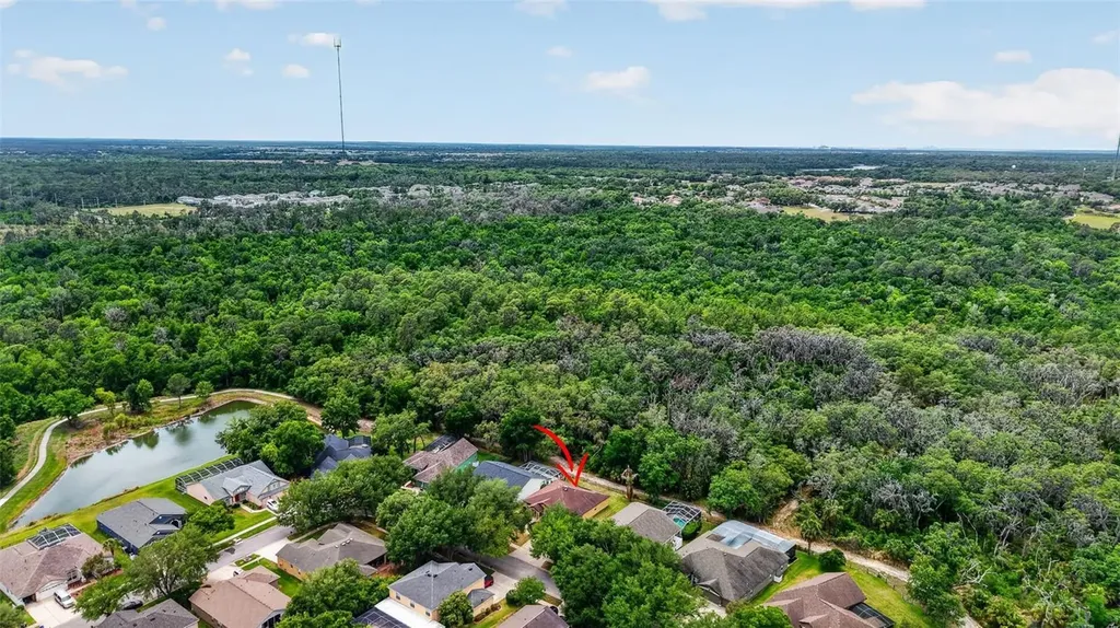 14818 Heronglen Drive Lithia FL 33547