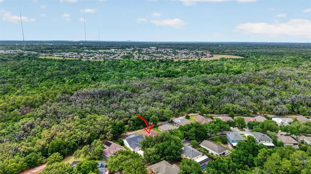 14818 Heronglen Drive Lithia FL 33547