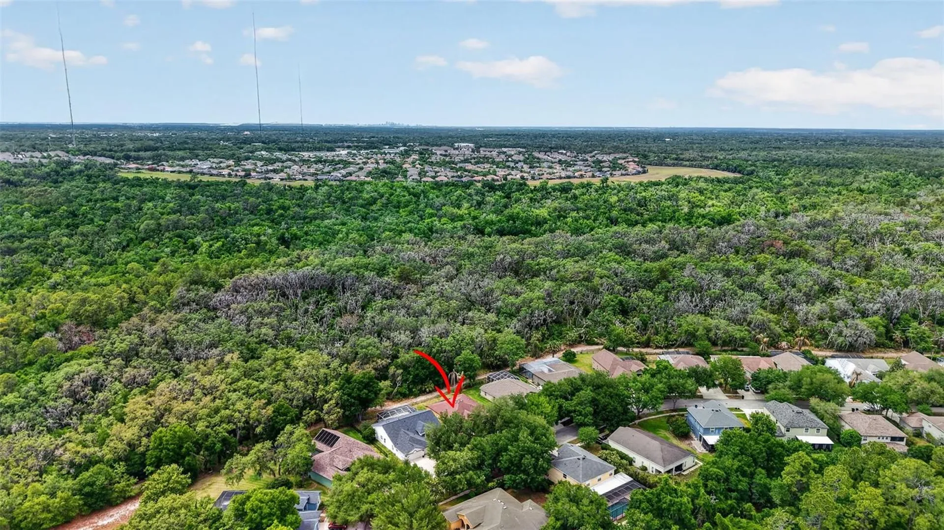 14818 Heronglen Drive Lithia FL 33547