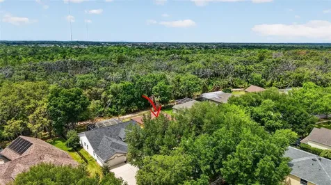 14818 Heronglen Drive Lithia FL 33547