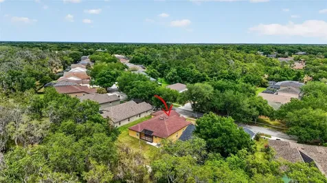 14818 Heronglen Drive Lithia FL 33547
