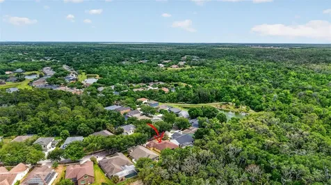 14818 Heronglen Drive Lithia FL 33547