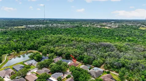 14818 Heronglen Drive Lithia FL 33547
