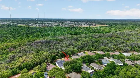14818 Heronglen Drive Lithia FL 33547