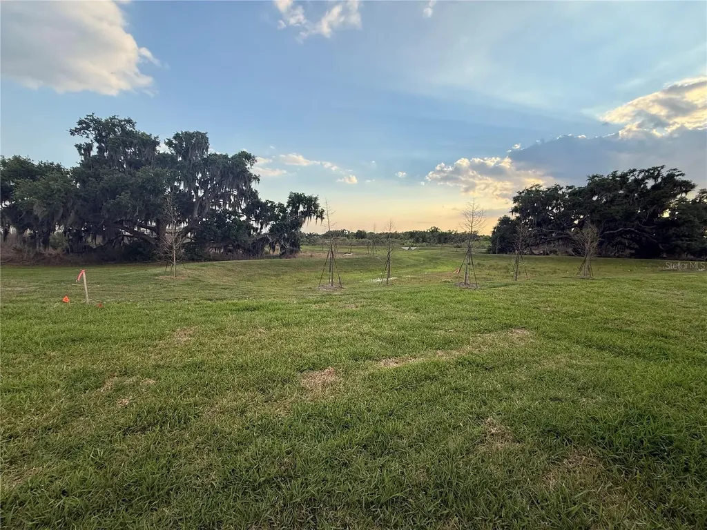 4005 Westwood Fields Loop Plant City FL 33565