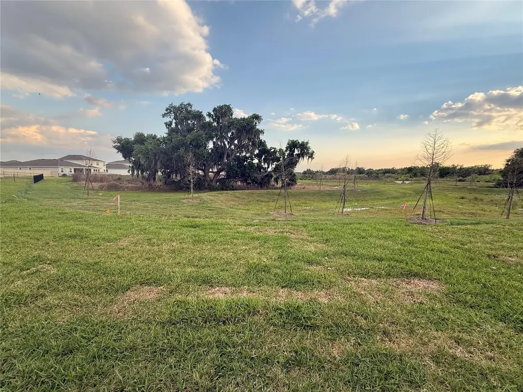 4005 Westwood Fields Loop Plant City FL 33565
