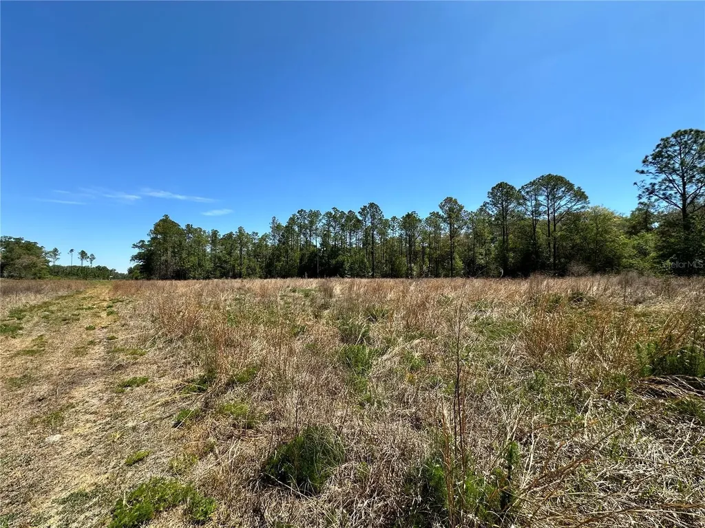 Tbd NE 128th Lane Bronson FL 32621