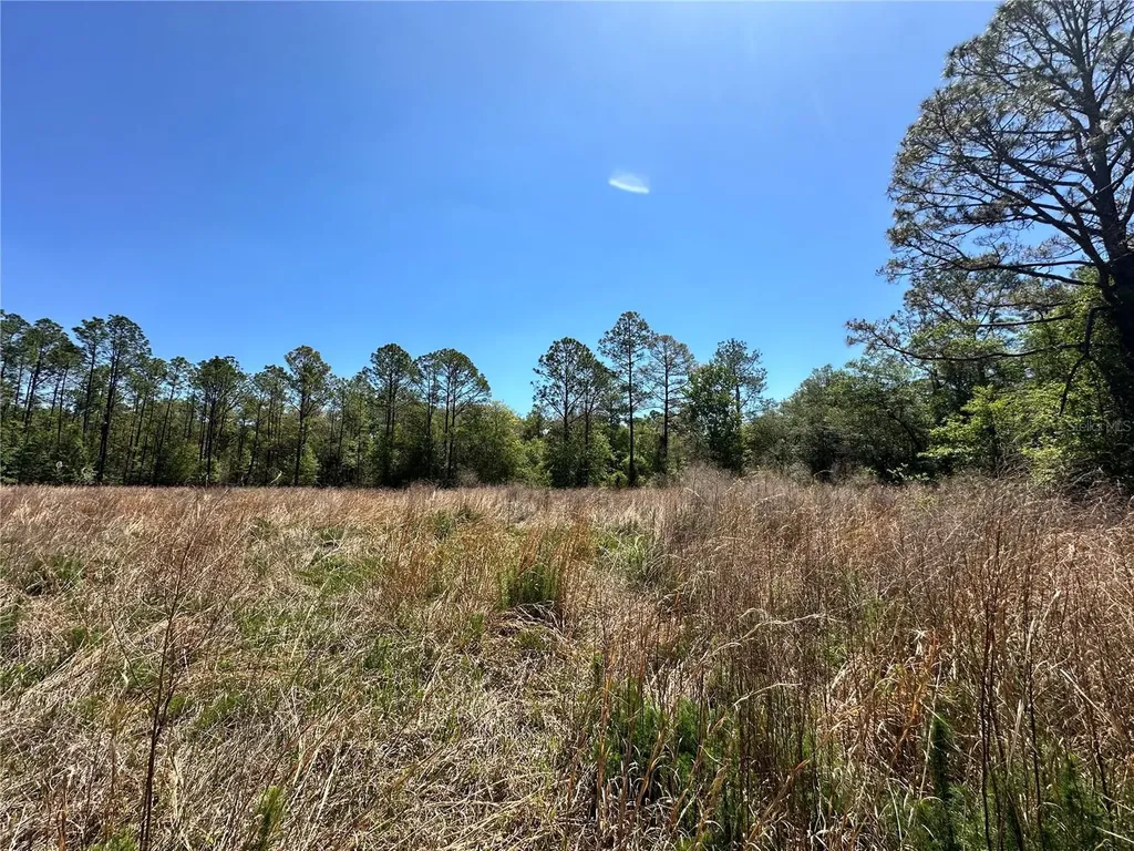 Tbd NE 128th Lane Bronson FL 32621